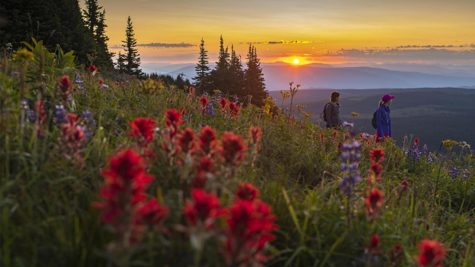 Soleil Chalet By Bear Country Sun Peaks Rum bild