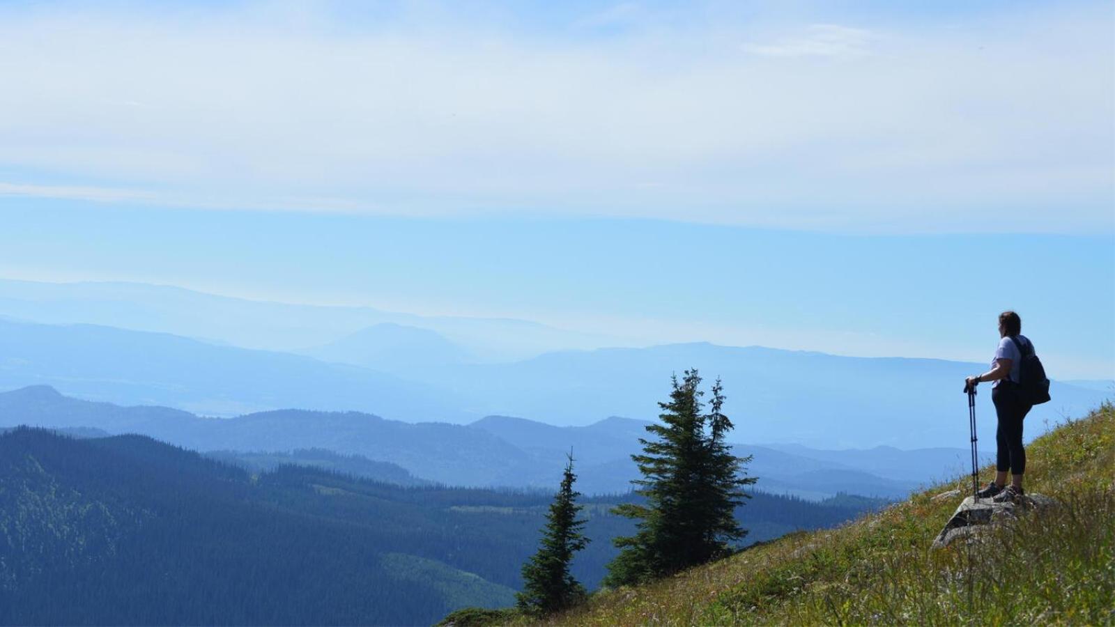 Soleil Chalet By Bear Country Sun Peaks Rum bild