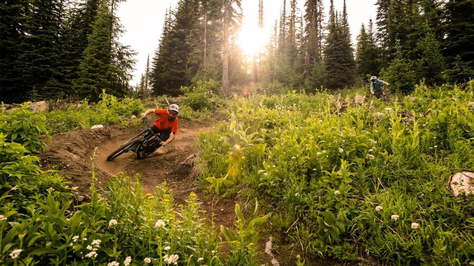 Soleil Chalet By Bear Country Sun Peaks Rum bild