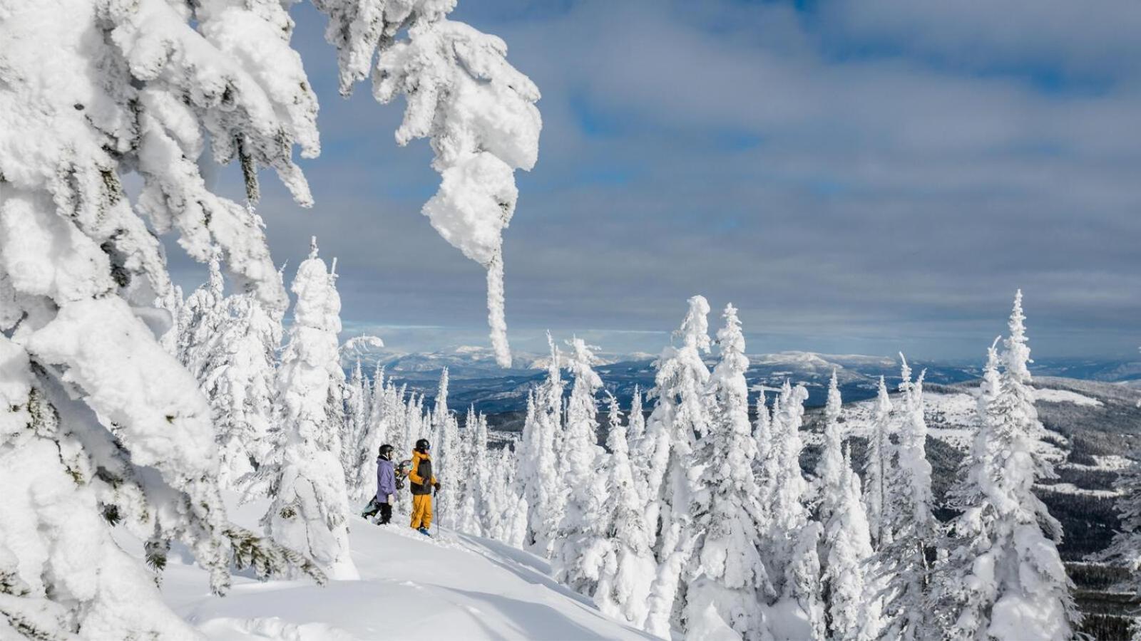 Soleil Chalet By Bear Country Sun Peaks Rum bild
