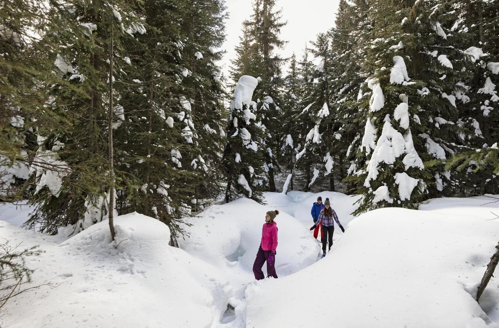 Soleil Chalet By Bear Country Sun Peaks Rum bild